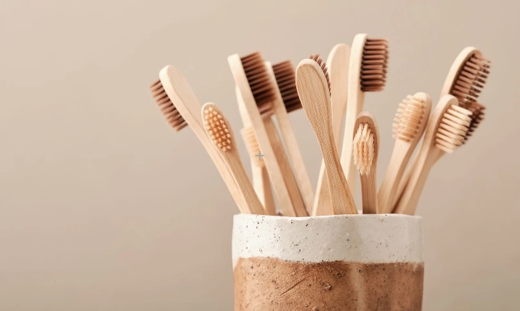 5 Best Eco-Friendly Toothbrush