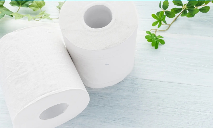 5 Best Eco-Friendly Toilet Tissues