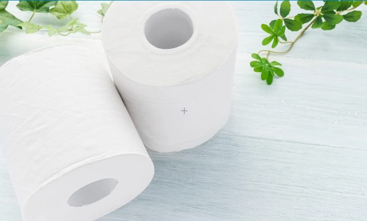 5 Best Eco-Friendly Toilet Tissues