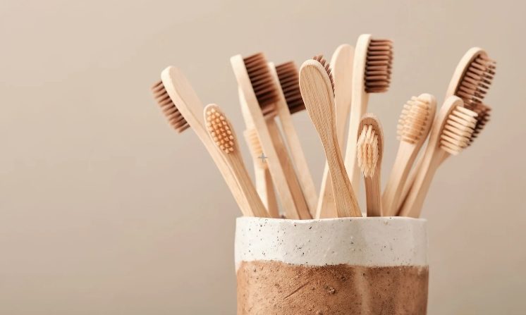 5 Best Eco-Friendly Toothbrush